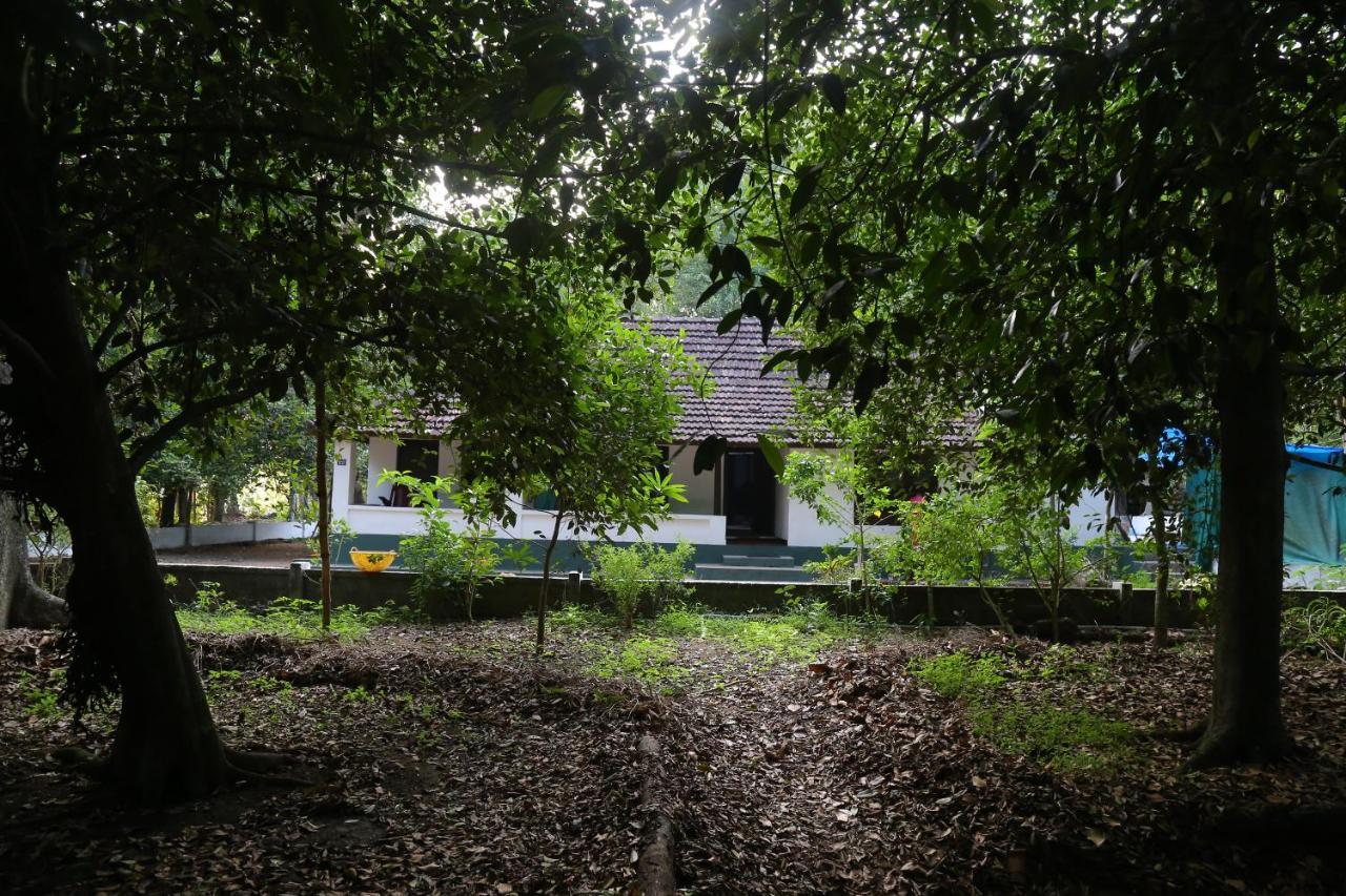 The Mana-Heritage Stay - Chengazhimattam Mana Kottayam Exterior photo